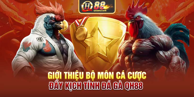 Giới thiệu bộ môn cá cược đầy kịch tính Đá gà QH88 